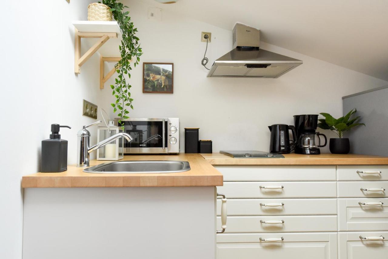 Plants Attic Studio - Best Location - Old Town Bucureşti Exterior foto
